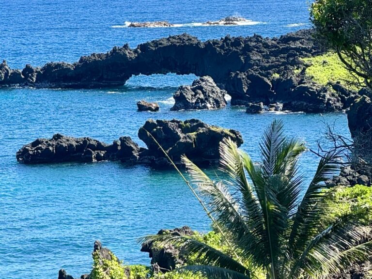 A Day Trip to Maui – Road to Hana